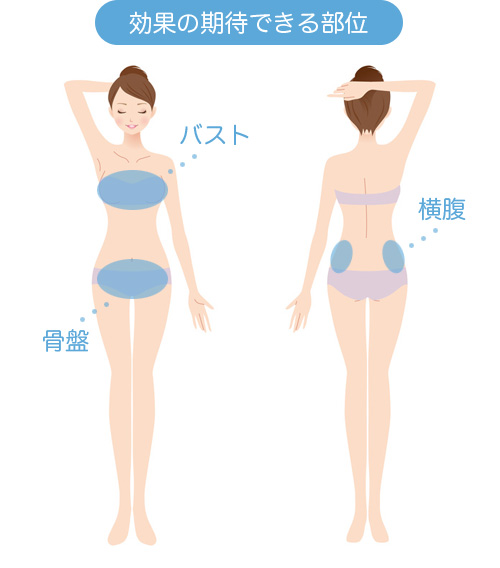 効果の期待できる部位図解