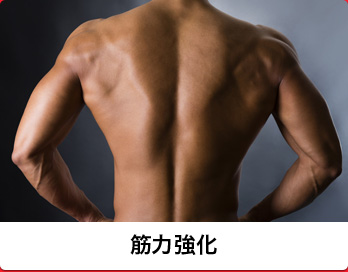 筋力強化