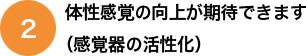 体性感覚の向上が期待できます（感覚器の活性化）